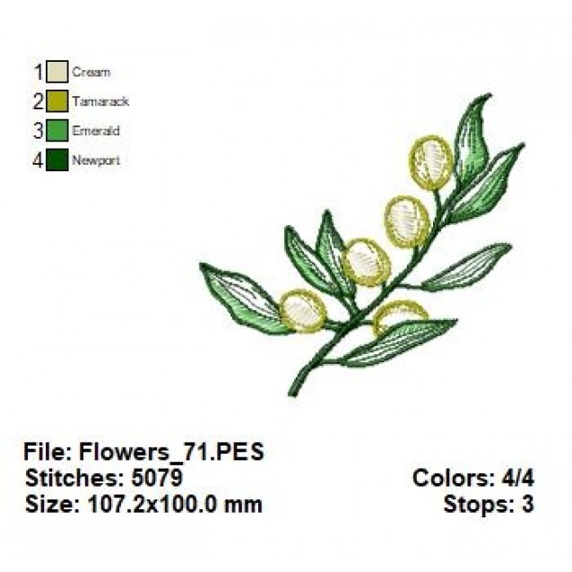 Flowers_71