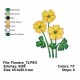 Flowers_72