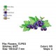 Flowers_73