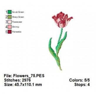 Flowers_75
