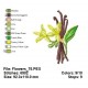 Flowers_76