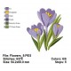 Flowers_9