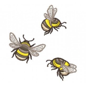 Insects1