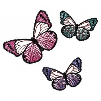 Insects11