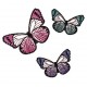 Insects11
