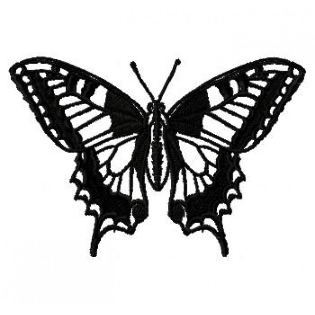 Insects12