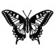 Insects12