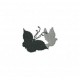 Insects13