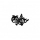 Insects15