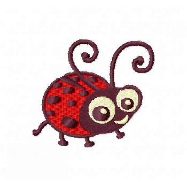 Insects16