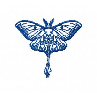 Insects17