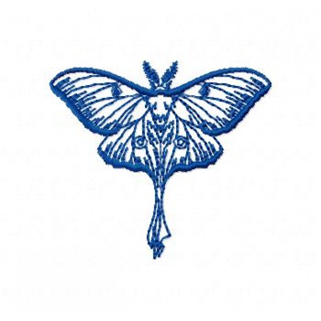 Insects17