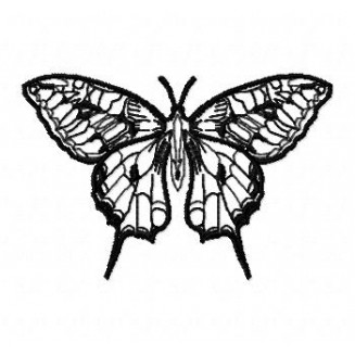 Insects2
