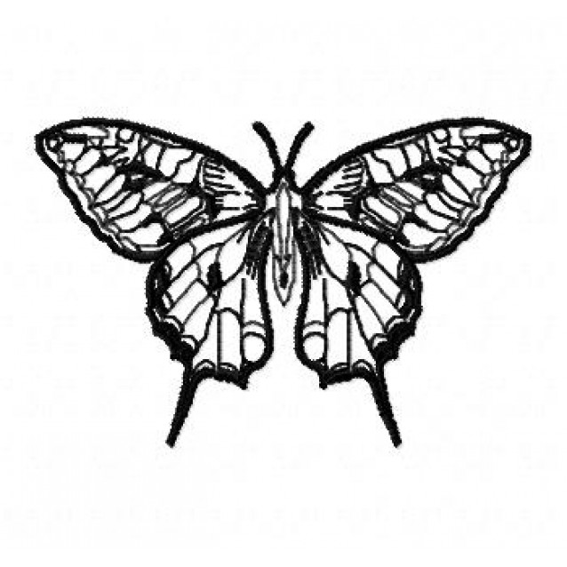 Insects2