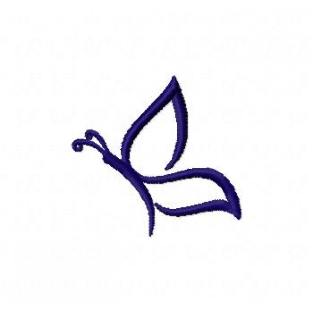 Insects20