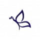 Insects20