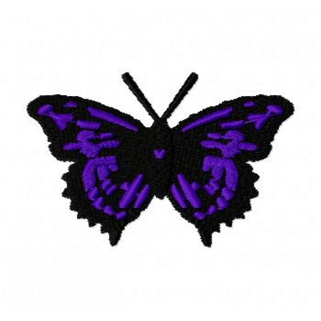 Insects22