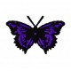 Insects22
