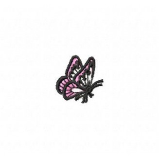 Insects24