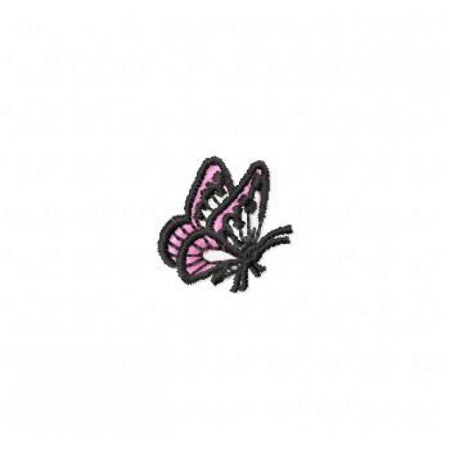 Insects24