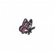 Insects24