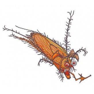 Insects29