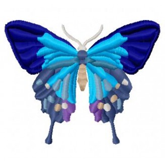 Insects3
