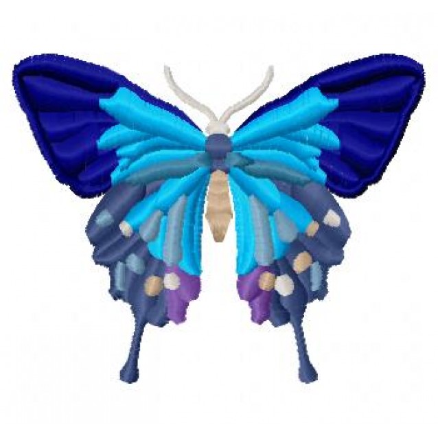 Insects3