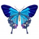 Insects3
