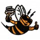 Insects30