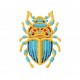Insects34