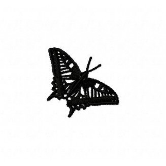 Insects35