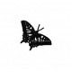 Insects35