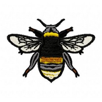 Insects37
