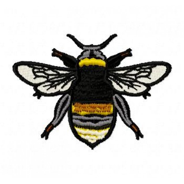 Insects37