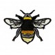 Insects37