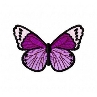 Insects4