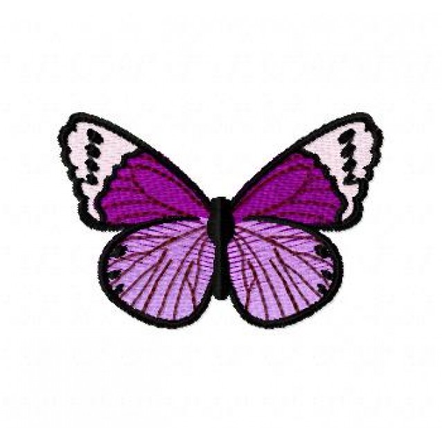 Insects4