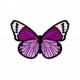 Insects4