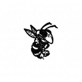 Insects41