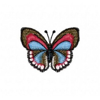 Insects5