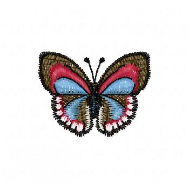 Insects5