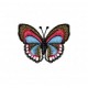 Insects5