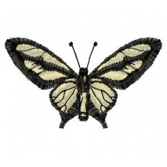 Insects6