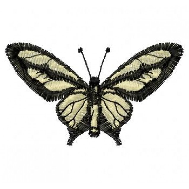 Insects6