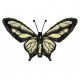 Insects6