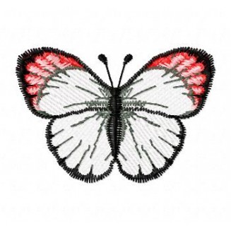 Insects7