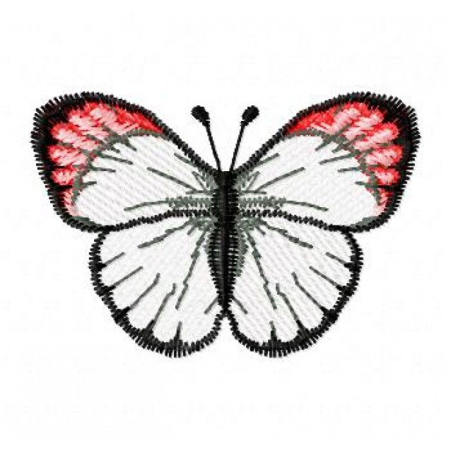 Insects7