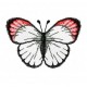 Insects7