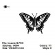 Insects12